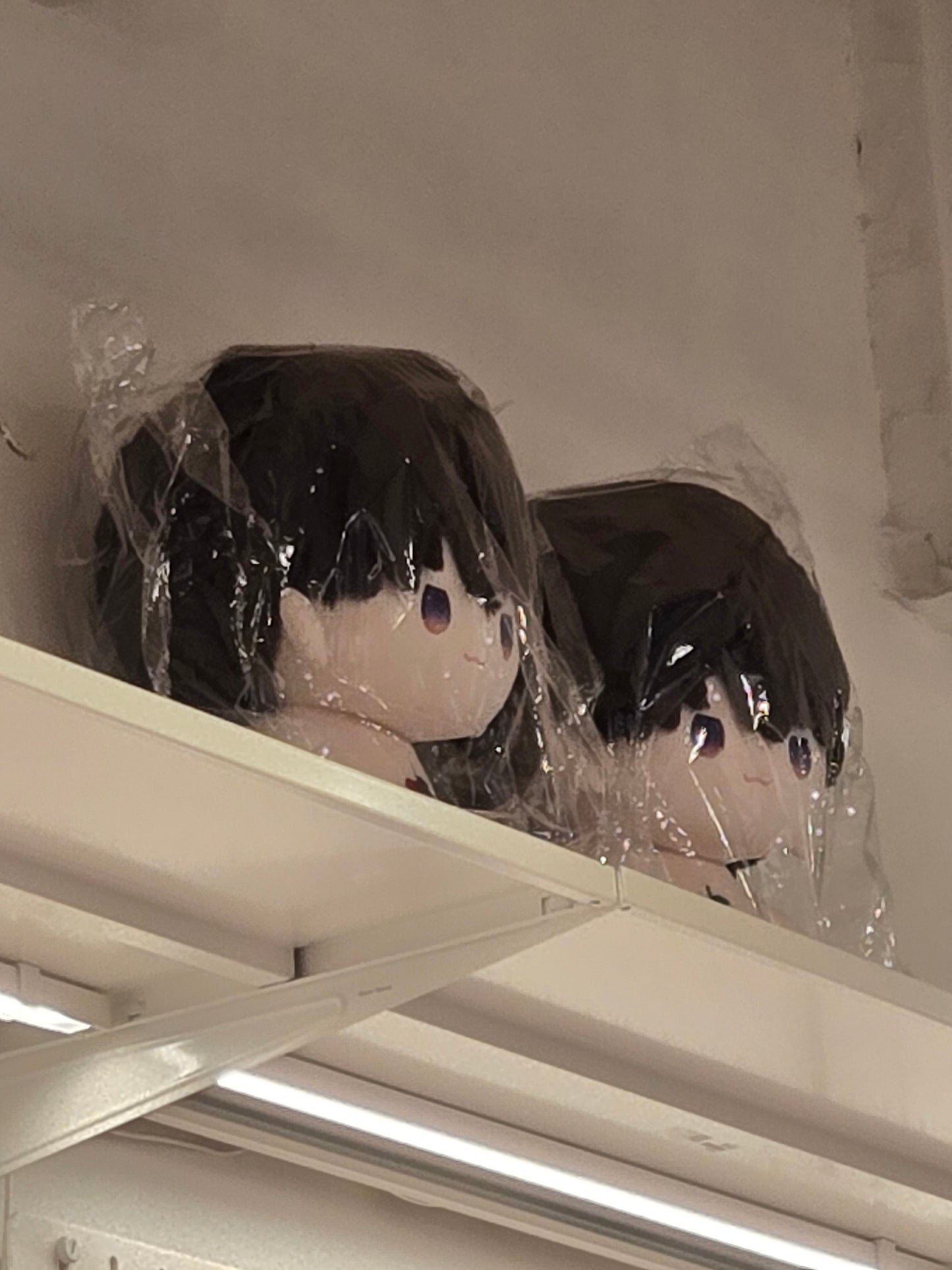 Love and Deepspace - Doll 60cm (on top of the shelve)